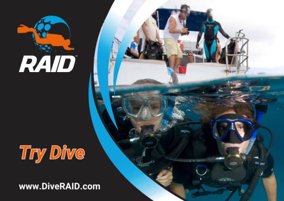 Try Dive