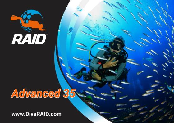 RAID Advanced 35