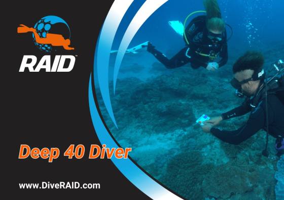 RAID Deep 40