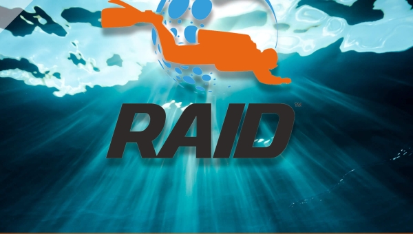 RAID Advanced 35