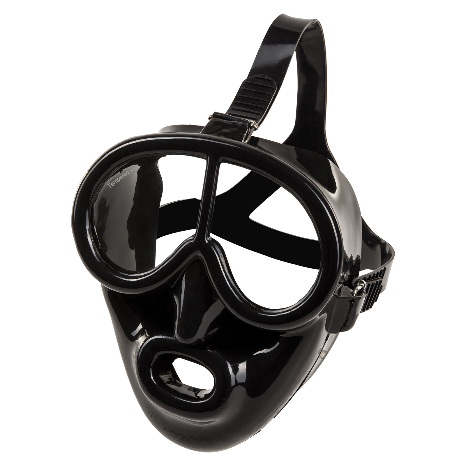 M37BS Pegasus